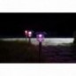 XANLITE ΗΛΙΑΚΟ ΚΑΡΦΩΤΟ LED RGB Κ ΛΕΥΚΟ IP44 ΑΛΟΥΜΙΝΙΟ ΑΥΤΟΝ 8H  ΣΥΣΚ 3 TEM