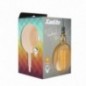 XANLITE BULB G200 VINTAGE
Cap E27 - 320° D'ANGLE 
DIMENSIONS : 20*30,5 cm