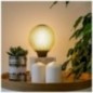 XANLITE ΛΑΜΠΤΗΡΑΣ LED DECO ΜΑΥΡΟ NET LOOK G125 E27 4W (25W) ΖΕΣΤΟ ΛΕΥΚΟ ΦΩΣ 2700K 180LM XANLITE ΛΑΜΠΤΗΡΑΣ LED DECO ΜΑΥΡΟ NET LOOK G125 E27 4W (25W) ΖΕΣΤΟ ΛΕΥΚΟ ΦΩΣ 2700K 180LM