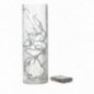 MAXIMUS ΦΩΤΙΣΤΙΚΟ ΜΠΑΤΑΡΙΑΣ DECO 50LM IP44 ΓΥΑΛΙ 2200Κ ΜΠΑΤΑΡΙΕΣ 3*ΑΑΑ (ΠΕΡΙΛΑΜΒΑΝΟΝΤΑΙ) 10*30CM