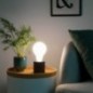 XANLITE ΛΑΜΠΤΗΡΑΣ LED DECO MILKY OPALINE A100 E27 12W (100W) ΟΥΔΕΤΕΡΟ ΦΩΣ 4000K 1521LM XANLITE ΛΑΜΠΤΗΡΑΣ LED DECO MILKY OPALINE A100 E27 12W (100W) ΟΥΔΕΤΕΡΟ ΦΩΣ 4000K 1521LM